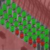СОФТУЕРЕН ЗА КОМПЮТЪРНА ТОМОГРАФИЯ INSPECT-X: ПОЛУЧАВАНЕ И ОБРАБОТКА НА X-RAY И CT