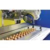 Sistem de marcare cu laser Lasit FlexyMark