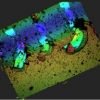 Tester 3D pentru analiza zgarieturilor
